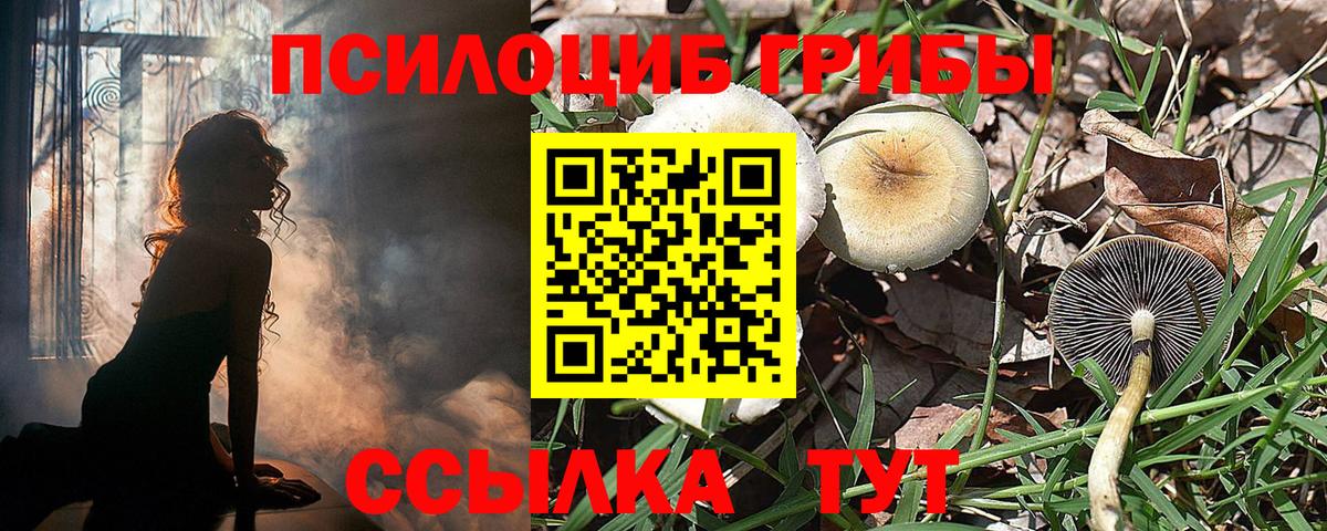 Карачаевск  Псилоцибиновые грибы GOLDEN TEACHER  Вход с VPN 