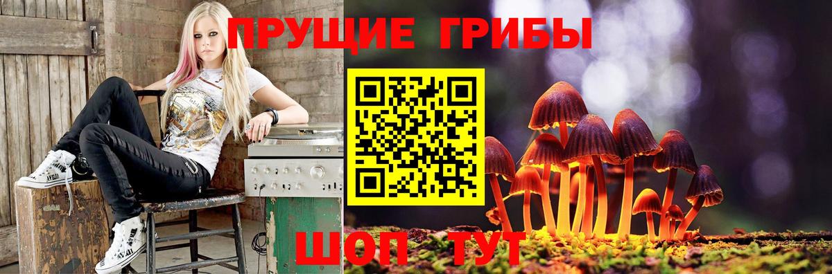 Псилоцибиновые грибы ЛСД Карачаевск
