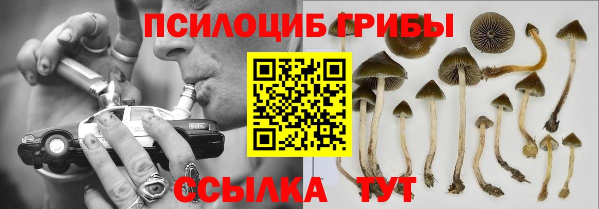 A-PVP СОЛЬ кристаллы  Каннабис  КОКАИН  НБОМе  Карачаевск  Гашиш  Вход с VPN  МЕФ   MDMA  Экстази 